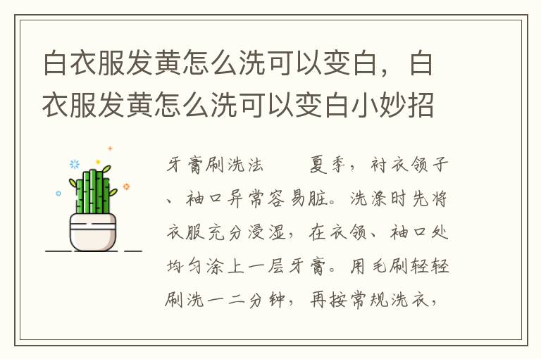 白衣服发黄怎么洗可以变白，白衣服发黄怎么洗可以变白小妙招