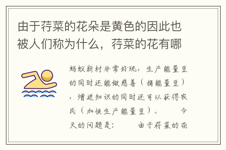 由于荇菜的花朵是黄色的因此也被人们称为什么，荇菜的花有哪些颜色