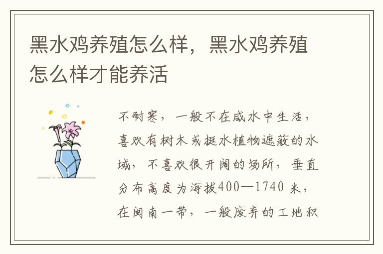 黑水鸡养殖怎么样，黑水鸡养殖怎么样才能养活