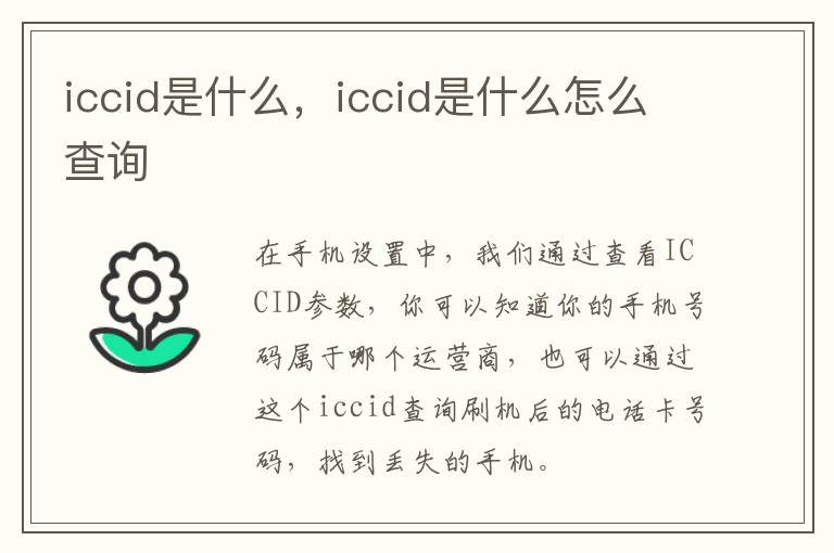iccid是什么，iccid是什么怎么查询