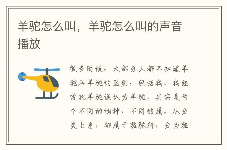 羊驼怎么叫，羊驼怎么叫的声音播放