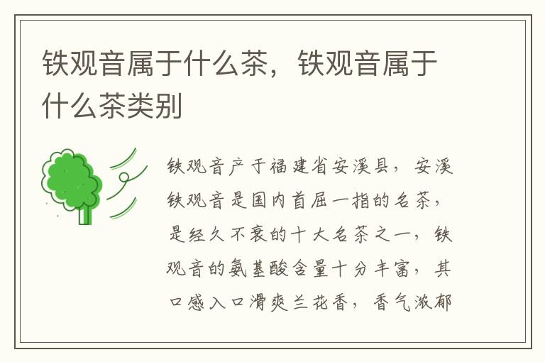 铁观音属于什么茶，铁观音属于什么茶类别