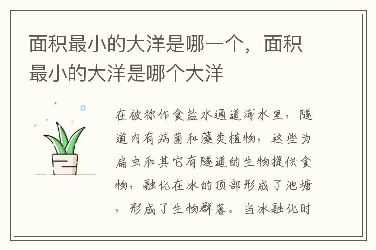 面积最小的大洋是哪一个，面积最小的大洋是哪个大洋