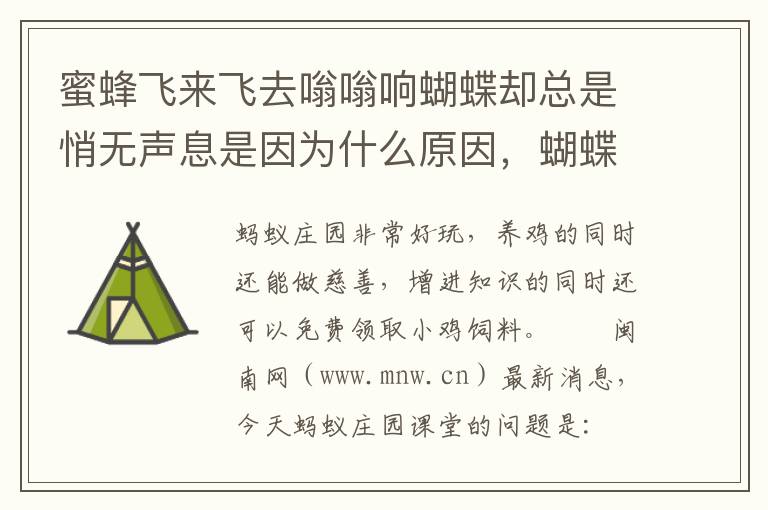 蜜蜂飞来飞去嗡嗡响蝴蝶却总是悄无声息是因为什么原因，蝴蝶飞来了蜜蜂嗡嗡叫