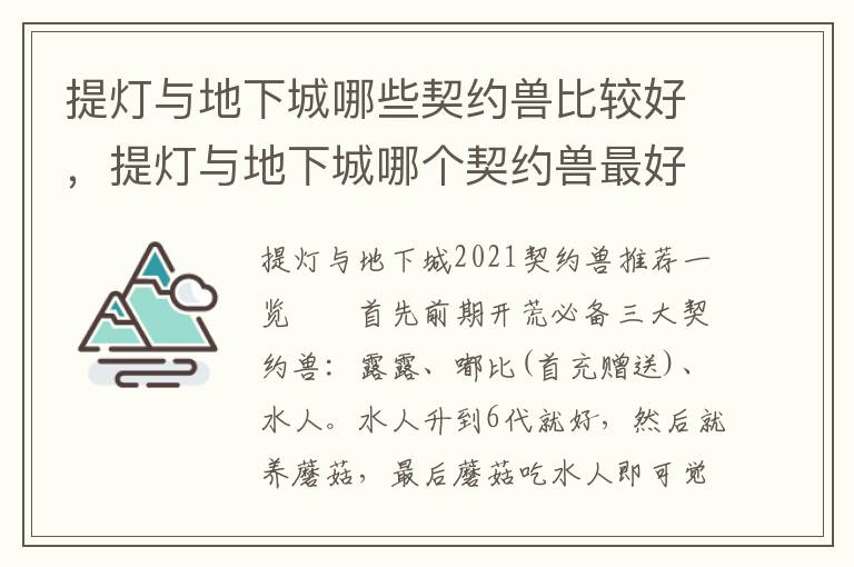提灯与地下城哪些契约兽比较好，提灯与地下城哪个契约兽最好
