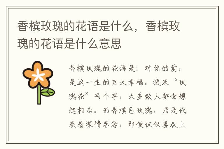 香槟玫瑰的花语是什么，香槟玫瑰的花语是什么意思