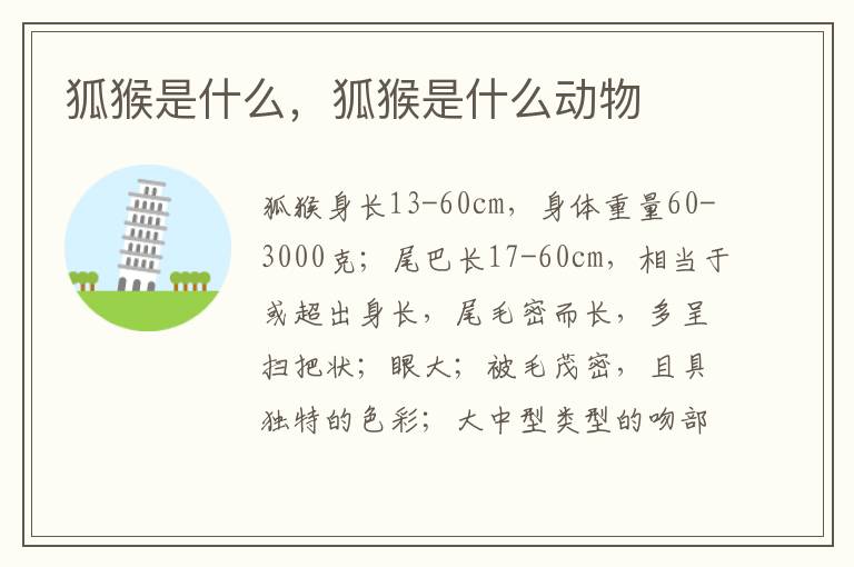 狐猴是什么，狐猴是什么动物