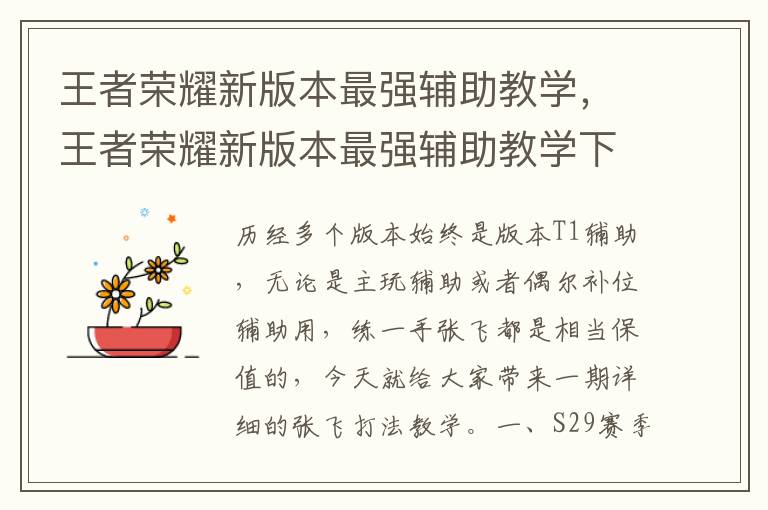 王者荣耀新版本最强辅助教学，王者荣耀新版本最强辅助教学下载
