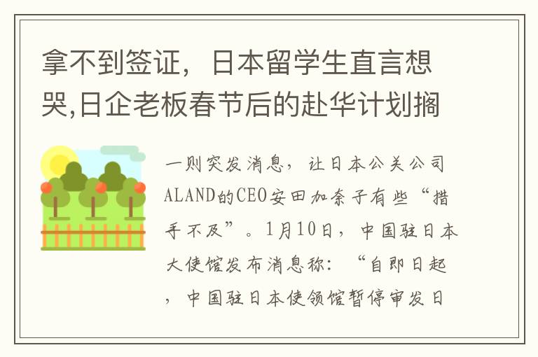 拿不到签证，日本留学生直言想哭,日企老板春节后的赴华计划搁浅