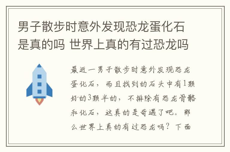 男子散步时意外发现恐龙蛋化石是真的吗 世界上真的有过恐龙吗
