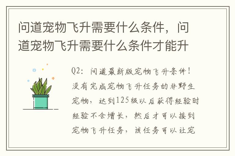 问道宠物飞升需要什么条件，问道宠物飞升需要什么条件才能升级