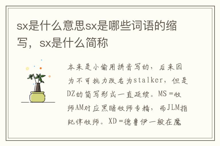 sx是什么意思sx是哪些词语的缩写，sx是什么简称