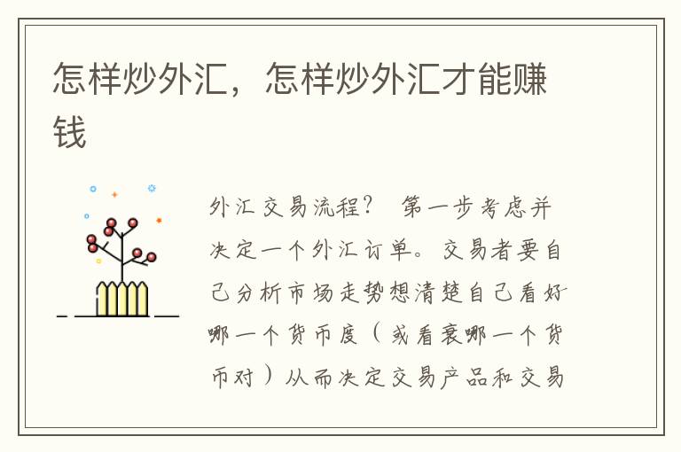 怎样炒外汇，怎样炒外汇才能赚钱