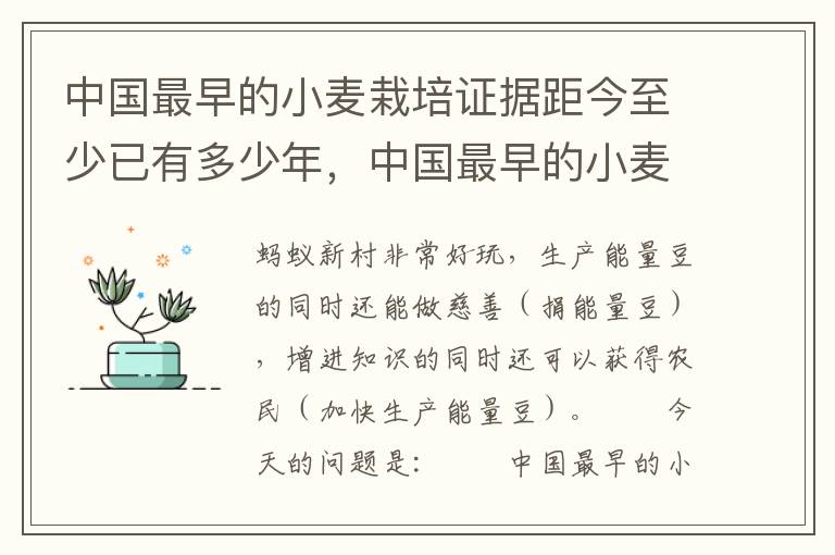 中国最早的小麦栽培证据距今至少已有多少年，中国最早的小麦栽培证据距今至少已有多少年?