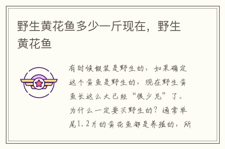 野生黄花鱼多少一斤现在，野生黄花鱼