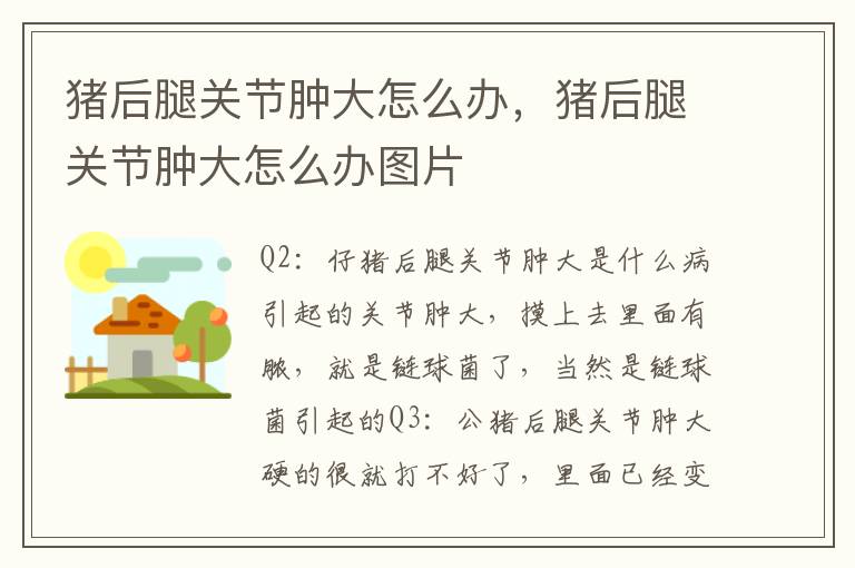 猪后腿关节肿大怎么办，猪后腿关节肿大怎么办图片