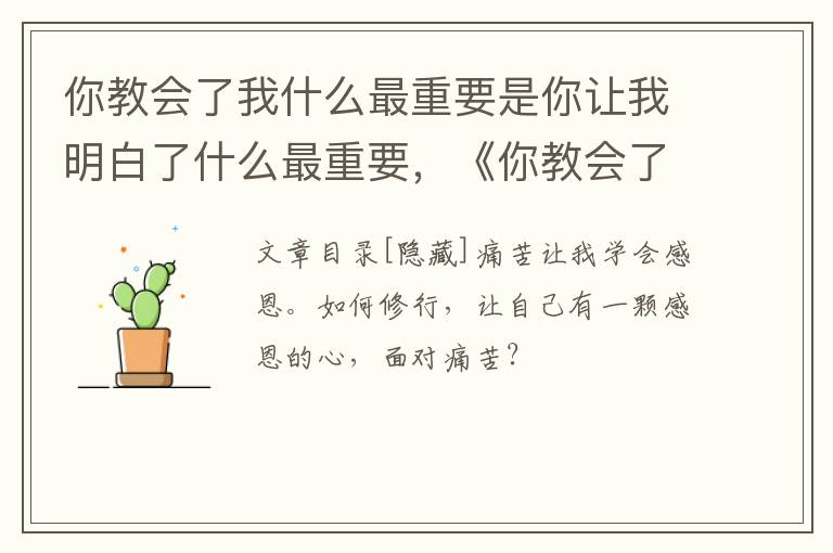 你教会了我什么最重要是你让我明白了什么最重要，《你教会了我什么最重要》