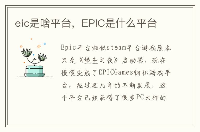 eic是啥平台，EPIC是什么平台