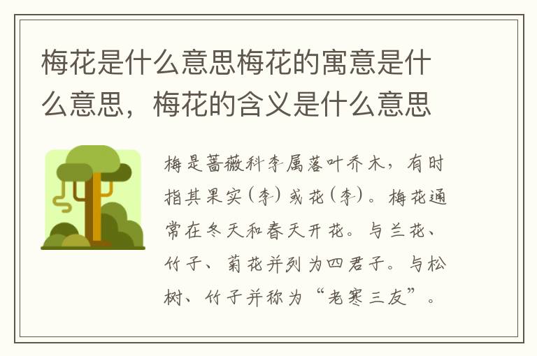 梅花是什么意思梅花的寓意是什么意思，梅花的含义是什么意思