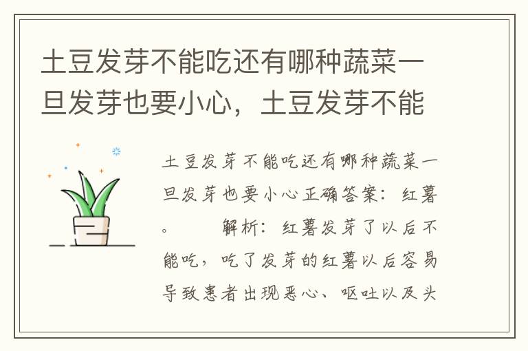 土豆发芽不能吃还有哪种蔬菜一旦发芽也要小心，土豆发芽不能吃还有哪种蔬菜一旦发芽也要小心洋葱红薯