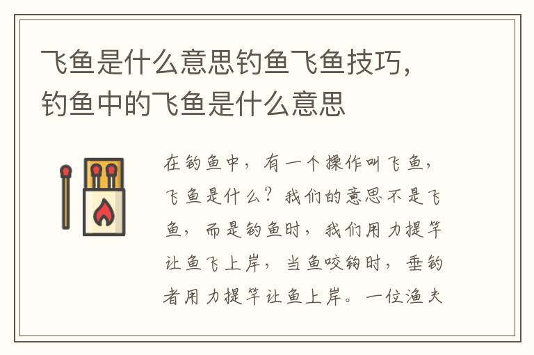 飞鱼是什么意思钓鱼飞鱼技巧，钓鱼中的飞鱼是什么意思