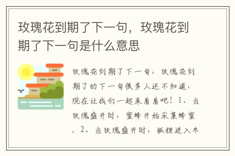 玫瑰花到期了下一句，玫瑰花到期了下一句是什么意思