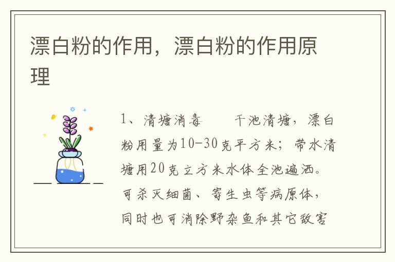漂白粉的作用，漂白粉的作用原理