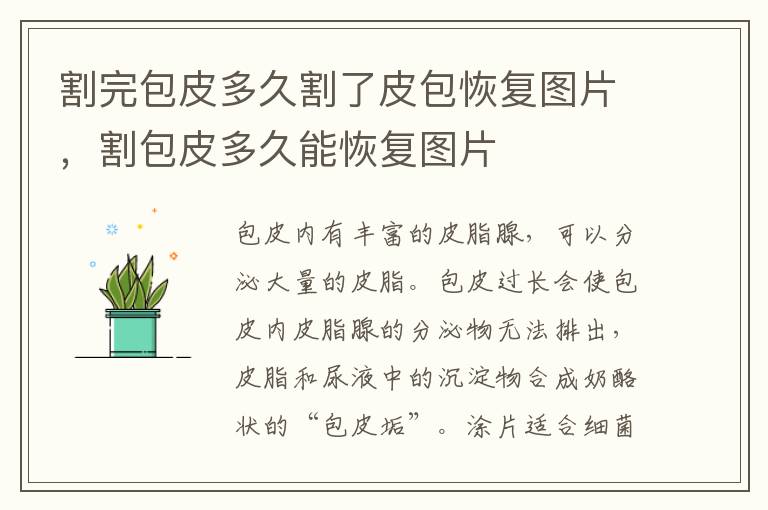割完包皮多久割了皮包恢复图片，割包皮多久能恢复图片