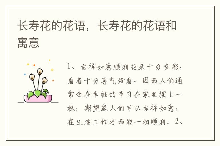 长寿花的花语，长寿花的花语和寓意