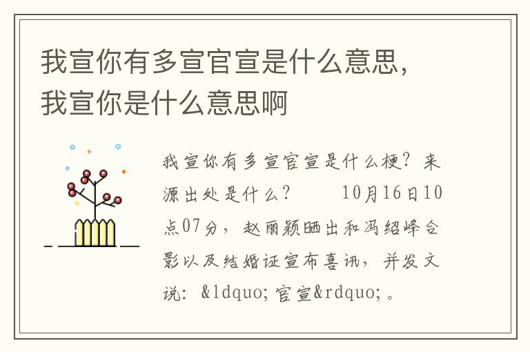 我宣你有多宣官宣是什么意思，我宣你是什么意思啊
