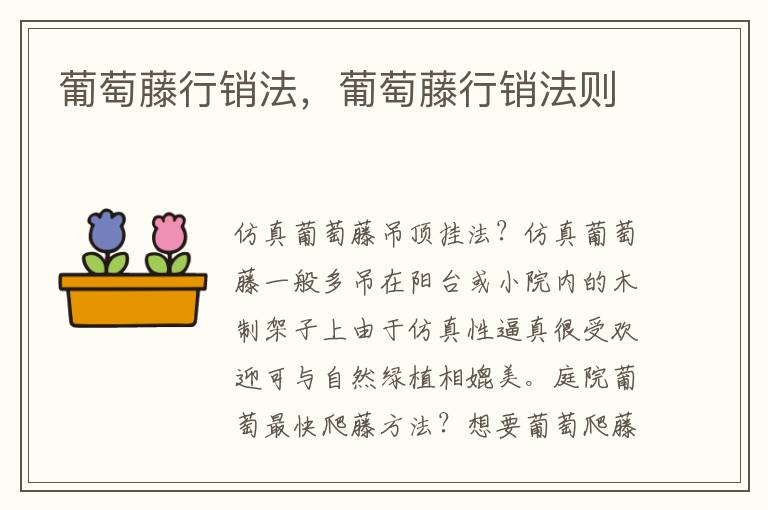 葡萄藤行销法，葡萄藤行销法则