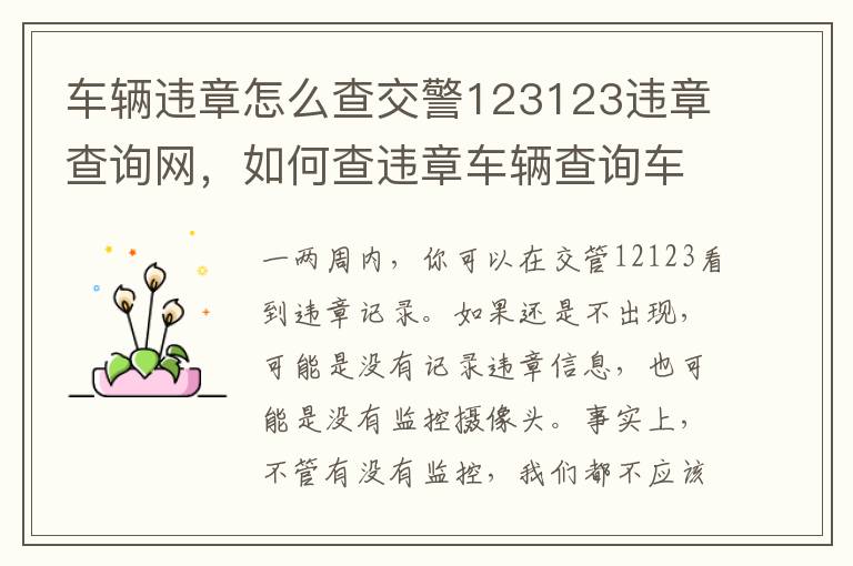 车辆违章怎么查交警123123违章查询网，如何查违章车辆查询车辆违章查询