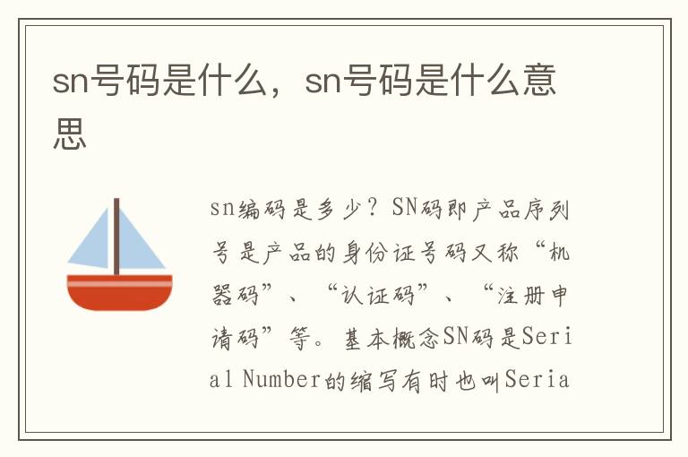 sn号码是什么，sn号码是什么意思