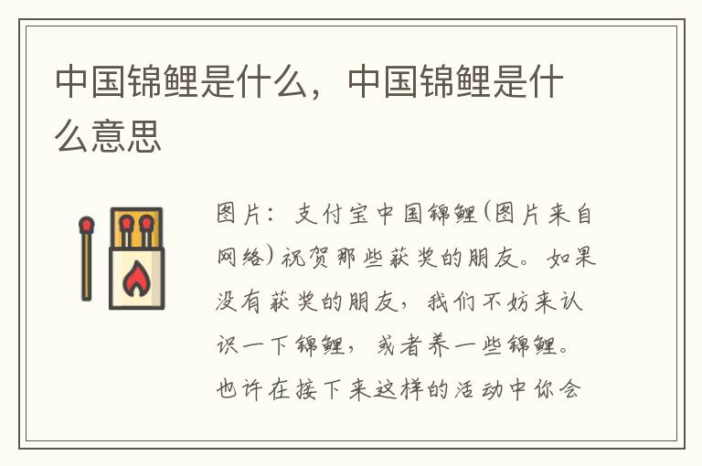 中国锦鲤是什么，中国锦鲤是什么意思