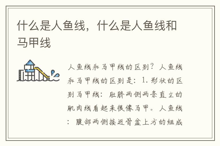 什么是人鱼线，什么是人鱼线和马甲线