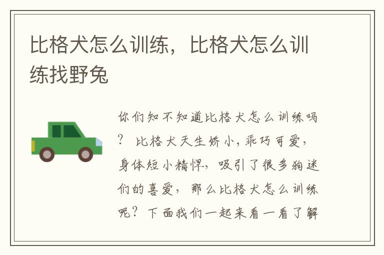 比格犬怎么训练，比格犬怎么训练找野兔