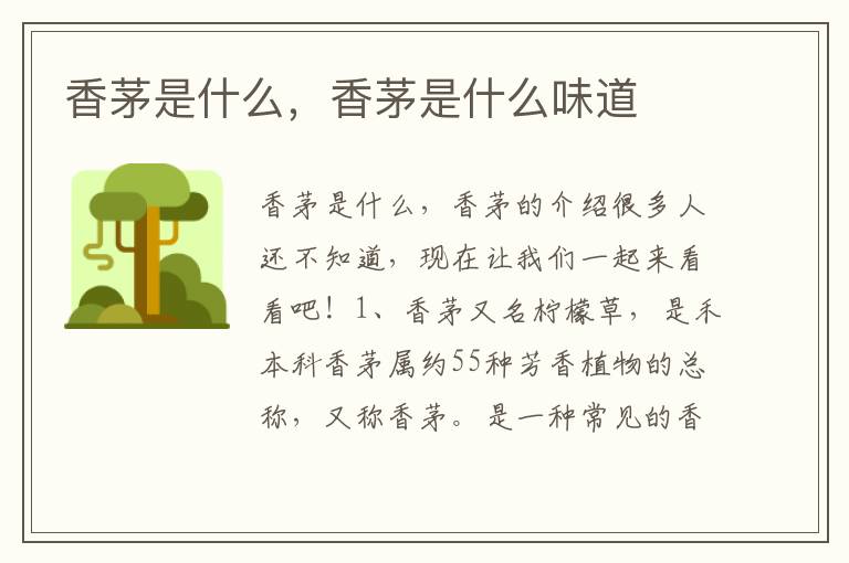 香茅是什么，香茅是什么味道