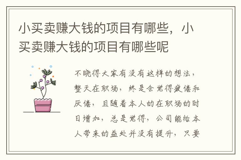 小买卖赚大钱的项目有哪些，小买卖赚大钱的项目有哪些呢