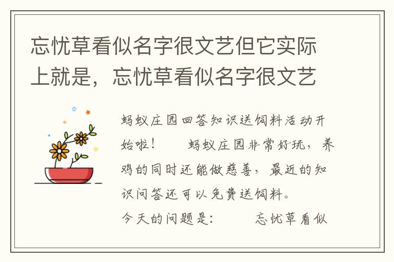 忘忧草看似名字很文艺但它实际上就是，忘忧草看似名字很文艺但它实际上就是大白菜还是黄花菜