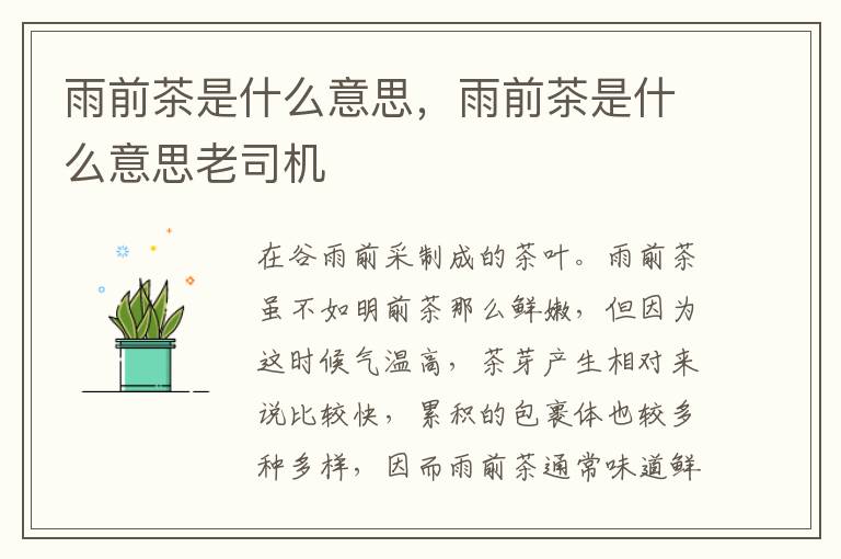 雨前茶是什么意思，雨前茶是什么意思老司机