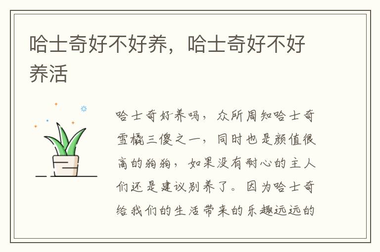 哈士奇好不好养，哈士奇好不好养活