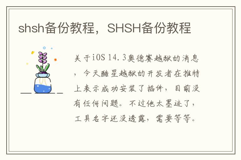 shsh备份教程，SHSH备份教程