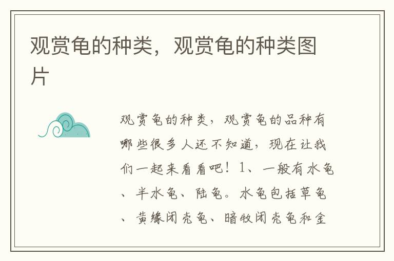 观赏龟的种类，观赏龟的种类图片