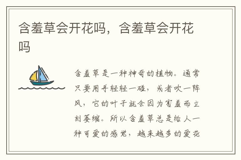 含羞草会开花吗，含羞草会开花吗