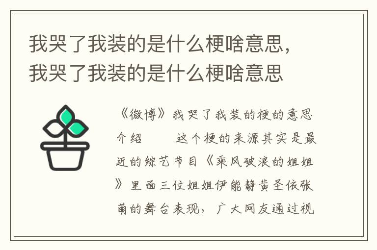 我哭了我装的是什么梗啥意思，我哭了我装的是什么梗啥意思