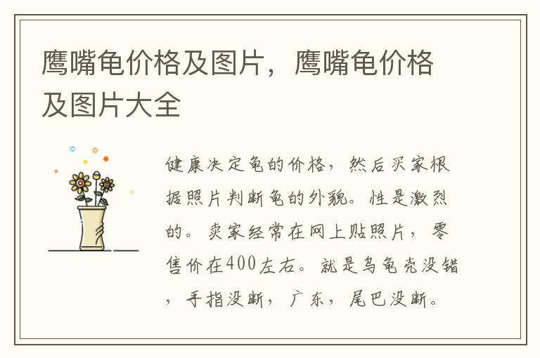 鹰嘴龟价格及图片，鹰嘴龟价格及图片大全
