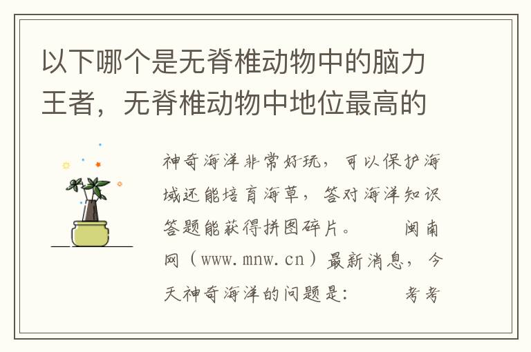 以下哪个是无脊椎动物中的脑力王者，无脊椎动物中地位最高的是