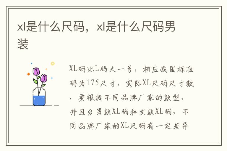 xl是什么尺码，xl是什么尺码男装