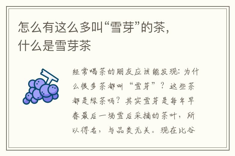 怎么有这么多叫“雪芽”的茶，什么是雪芽茶