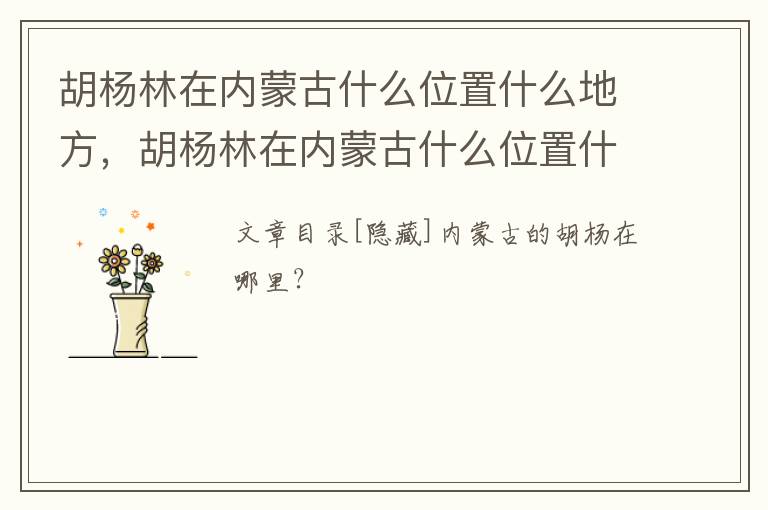 胡杨林在内蒙古什么位置什么地方，胡杨林在内蒙古什么位置什么地方